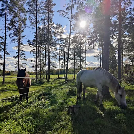 Apartmán Koivistonpiha