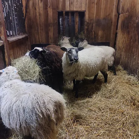 Koivistonpiha דירה ואלקאקוסקי