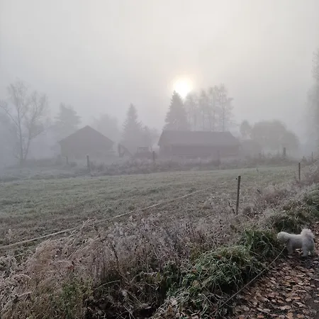 Koivistonpiha Daire