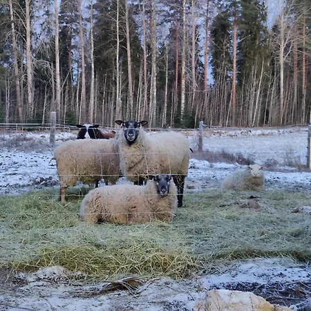 Koivistonpiha * Valkeakoski